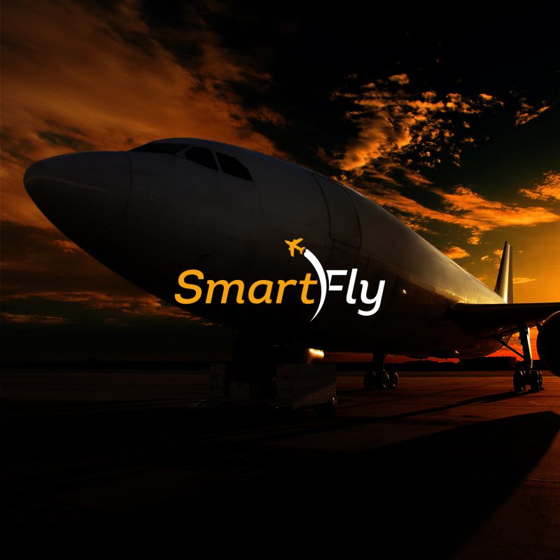 smart_fly_logo_tasarimi_2